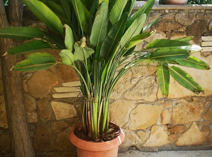 Wooden House Prázdninový dům