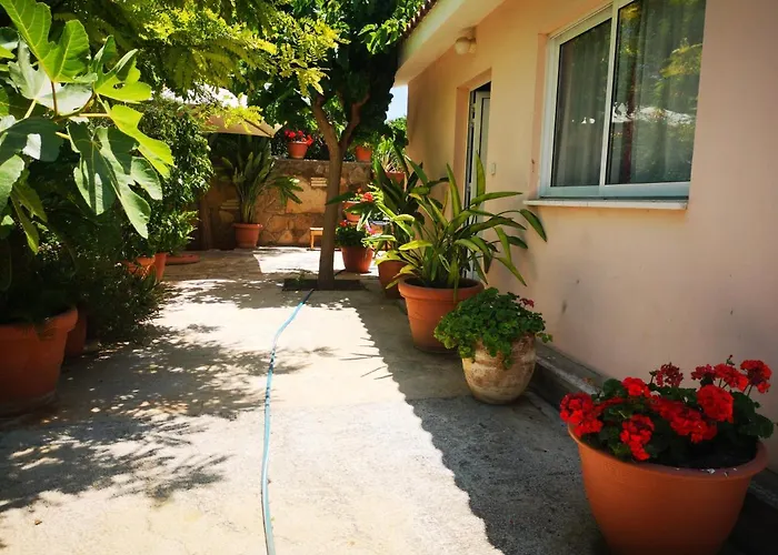 Prázdninový dům Wooden House